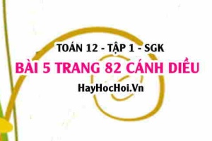 Bài 5 trang 82 Toán 12 tập 1 Cánh Diều